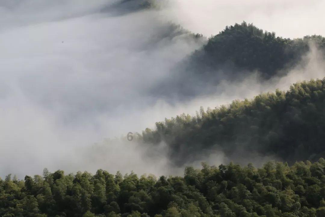 珠海8家国企重组,华发集团接手九洲控股