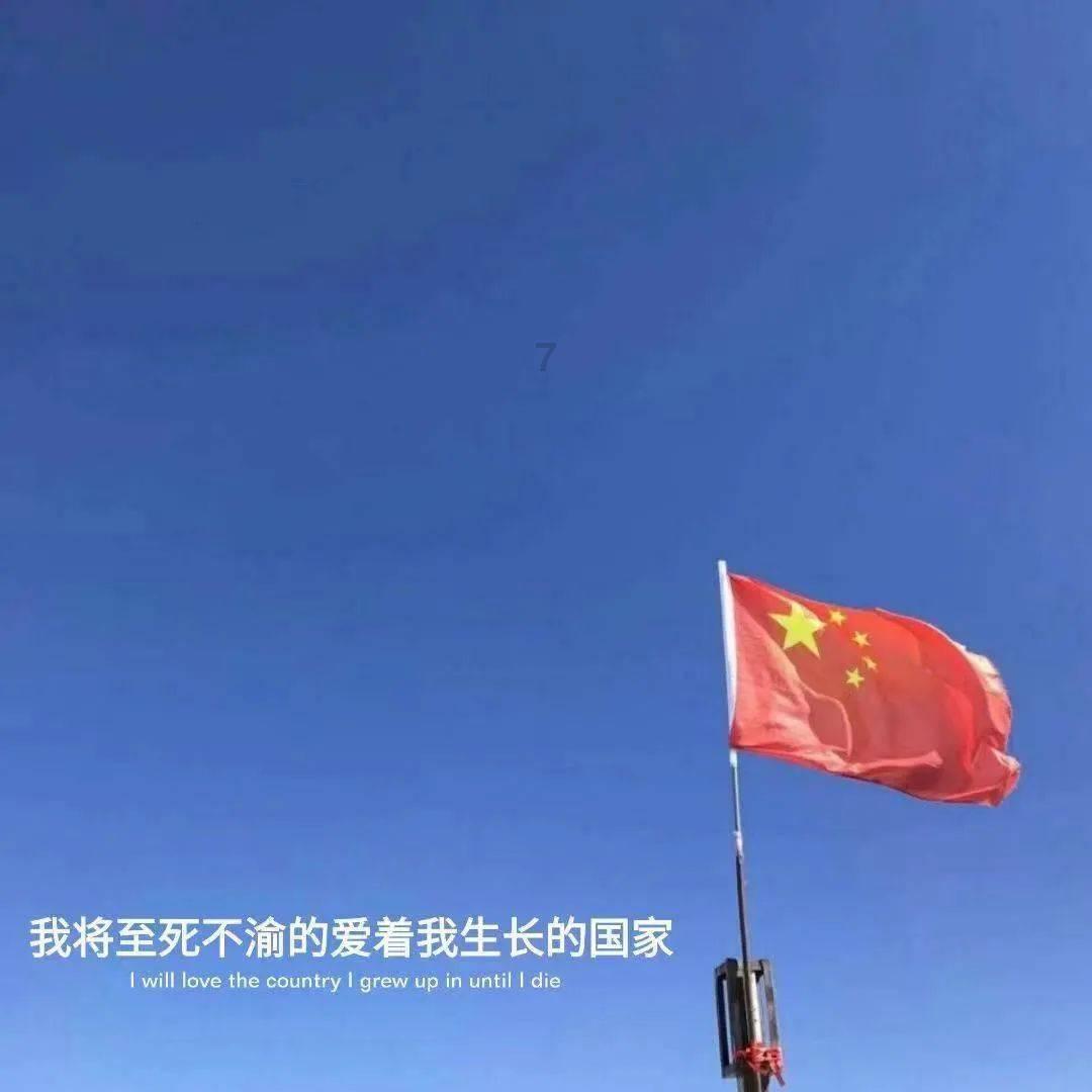9529108是什么电话？游戏画面